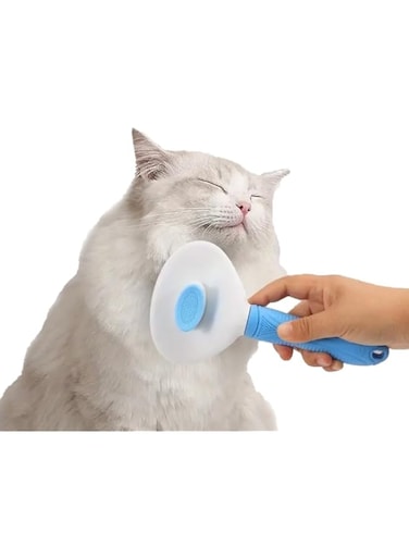 Title: AMERTEER Needle Cat Brush, Stainless Steel Pet Comb, Slicker Brush for Grooming &amp; Shedding, Cats &amp; Dog Hair Removal Tool for Short or Long-Haired Removes Loose Hair &amp; Tangles