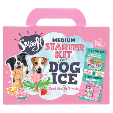Smoofl Medium Starter Kit for Dog Ice Treats - 210G
