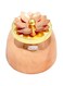 Prisha India Craft Copper Container - Gold