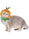 CZolden Halloween Cat Costumes Pumpkin Cat Hat Pet Cosplay Costume Cap for Halloween Kitty Dress Up Accessories