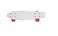 Colorland Toys - Skateboard Asst Colours For Kids