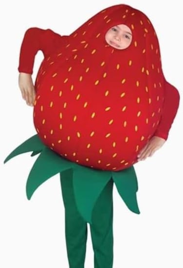 Strawberry Costume Kids