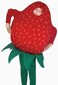 Strawberry Costume Kids
