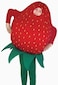 Strawberry Costume Kids