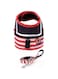 Red and White Navy Striped Sailor Anchor Style Pet Dog Harness and Leash Set for Walking Party (Red, M)