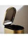 Home Arch Fingerprint Resistant Metal Pedal Bin 31.5x18.5x39cm 10L - Gold