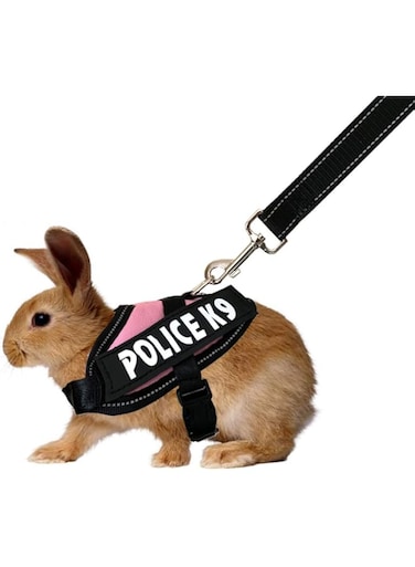 Vehomy Rabbit Harness with Leash for Bunny Rabbits Cats Small Animals (Pink)