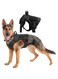 Project Nomad Dog Harness &ndash; M/L Tactical Dog Vest for Leash, adjustable for dogs, heavy duty metal buckle collar, choke free for activities, Golden Retrivers, Velcro loop for Patches (Black, Medium)