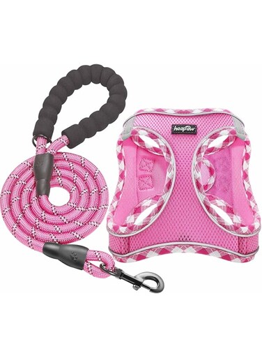 haapaw Dog Harness with Leash Set, No Pull Adjustable Reflective Step-in Puppy Harness with Thickened Padded Vest for Extra-Small/Small Medium Dogs