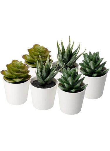 Ikea FEJKA Artificial potted plant with pot, in/outdoor Succulent, 6 cm 3 Pack