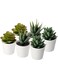 Ikea FEJKA Artificial potted plant with pot, in/outdoor Succulent, 6 cm 3 Pack