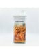 souqoon- Storage Jar Pack x2