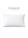 Cushion Filler 30x50 cm &acirc;&euro;&ldquo; Rectangular Lumbar Size, Hollow Siliconized Polyester Fiber Filling, Soft &amp; Supportive Non-Woven Cover, White Polyester White 30x50cm