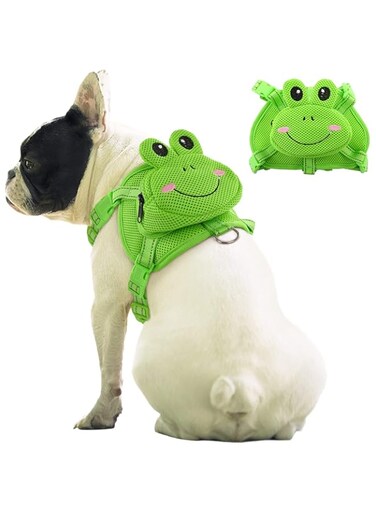 TERRIFI Frog Dog Backpack Harness, No-Pull Pet Harness Vest with Saddle Bag for Travel and Hiking. Adjustable and Comfortable Mesh Vest with D-Ring for Small to Medium Dogs.