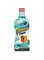 Dental Fresh Original Formula for Dogs; 17 fl. oz.