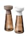 Digital Shoppy Spice Mill, Glass/Brown, 19 cm (7 &frac12;") (Pack-2)