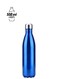 Insulated Water Bottle Blue/Silver
