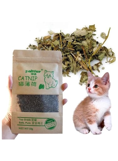 1pcs Natural Premium catnip cattle Grass Interactive Cat Non-toxic 10g Menthol Flavor Funny Cat Supplies Keep Pet Health Cat Toy