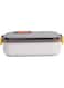 Nessan Japanese-style Leak-proof Stainless Steel Lunch Box - 700ml - Bento Box - Portable, Airtight, Thermal food Container - for Picnics, Office, School food storage - with Detachable Silicone Strap
