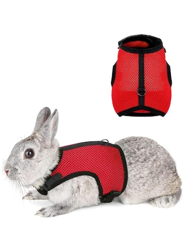 NeoStyle Rabbit Harness, Stretchy Adjustable Breathable Mesh Vest, Anti Run Small Pet Walking(No Leash) (M (Neck Girth 33cm))