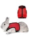 NeoStyle Rabbit Harness, Stretchy Adjustable Breathable Mesh Vest, Anti Run Small Pet Walking(No Leash) (M (Neck Girth 33cm))