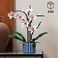Lego Botanicals ORChid - Artificial Plant Set For Adults Incl. Faux Flowers and A Buildable Vase - Home Office Decor - Gift Idea For Women and Men - 10311