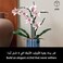 Lego Botanicals ORChid - Artificial Plant Set For Adults Incl. Faux Flowers and A Buildable Vase - Home Office Decor - Gift Idea For Women and Men - 10311