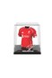 Splink - Van Dijk  ( Liverpool ) - Home Jersey 25/26