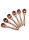 Wooden Spoons, 6pcs Teaspoon Teaspoons Serving Utensils For Cooking Condiments Spoon Mini Honey Daily Use