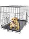 Dog Cage, Pet Metal Cage, Foldable Wire Dog Crate with Leak-Proof Removable Plastic Tray, Heavy Duty Portable Pet Cage for Dogs, Puppies, Cats, Pet Kennel, Playpen for Pet Breeding. (L, 60cm)