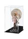 CECOLIC Acrylic Display Case Clear Display Box with Mirror Countertop Cube for Collectibles, Action Figures, Miniature Figurines Dustproof Protection Storage &amp; Organizing (Black, 5.9x5.9x9.8in)