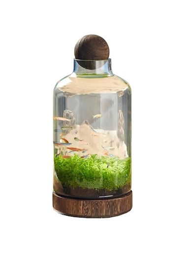 Fish Tank Vase, TIK Tok Fashion Aquarium Channel Featured Aquarium Kit, Including Wooden Base and Glassware