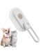Oasisgalore Cat Steam Brush,Rechargeable with Handle,Self-Cleaning Grooming Tool,for Cats and Dogs,3 In1 Cat Steamy Brush, Multifunctional Hair Comb for Removing Tangled and Loose Hair (white)