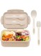 Bento Boxes for Adults - 1400 ML Bento Lunch Box For Kids Childrens With Spoon &amp; Fork - Durable Perfect Size for On-the-Go Meal, BPA-Free and Food-Safe Materials (Khaki)