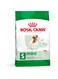 Royal Canin SHN Mini Adult 800 gm Size Health Nutrition Dog Food