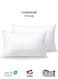 Bedding Throw Pillows Insert Cushion Filler Outer Cover Microfiber Filling 400 grams Ultra Soft Fiber Size 30x50cm , 12x20inch Cushion Inserts Home Decor White (Pack of 2)