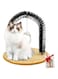 Masroo Pets Cat Arch Self Groomer Massager, Cat Grooming Brush with Heavy Duty Scratching Pad and Catnip Toy, Cat Face Scratchers, Cat Scrathers for Indoor Cats, Cat Rubbing Post