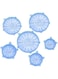Dubai Gallery Set Of 6 Fresh Food Cover Lids Blue AMZ-N29902909A
