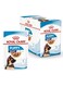 Royal Canin Canine Health Nutrition Maxi Puppy 2-15 Months Stage 3 (Wet Food - Pouches), 10 * 140 G Pouch