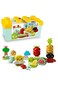 LEGO Duplo My First Organic Garden 6426529/10984