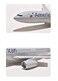 American Airlines 1:100 scale Resin Model