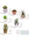 Acrylic Small Adhesive Wall Shelves, Mini Floating Shelves, Acrylic Display Shelves, Ledges For Pop Figures, Plant, Picture Photo Modern Wall For Bedroom Decor Living Room Wall Mounted - Clear