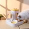 APAP Automatic Pet Feeder，2 in 1 Large Capacity Transparent Window Cat Food and Water Bowl Set,All in One Pet Feeder Pet Water Food Dispenser，for Cats and Small Dogs (Yellow)