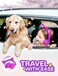 iClever Kids Headphones, LED Light Up Cat Ear, 85dBA Safe Volume, Stereo Sound Toddler Headphones, Foldable 3.5mm Wired Kids Headphone for Tablets School Travel
