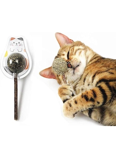 Coodipet 2PCS Natural Cat Treats Cat Toy Catnip Lollipop,Cat Mint Ball Stick Catnip Toys Cat Dental Chews Teeth Cleaning, Assorted Design/Shape