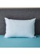 Box Regal Pillow Microfiber White 75x50cm
