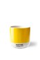 Sunrise Sip Cortado Thermo Cup &ndash; Yellow