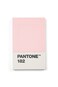 Minimalist Matte Credit Card Holder &ndash; Perfect for Travel &ndash; Light Pink