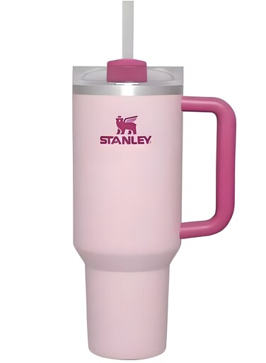 Quencher H2.0 FlowState Vacuum Stainless Steel Water Bottle with Lid and Straw, BPA-Free, 40oz, 28x10x7.5cm (Flamingo Pink)