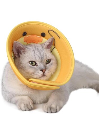 X spring Cat Cone Collar, Adjustable Cat Recovery Collar Pet Cone, Soft Lightweight Elizabethan Collar to Stop Licking and Scratching Wounds, Cone for Cat After Surgery for Pets Cats Puppies
